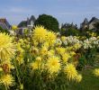 Jardin Septembre Best Of Thabor Park – Rennes – tourist attractions Tropter
