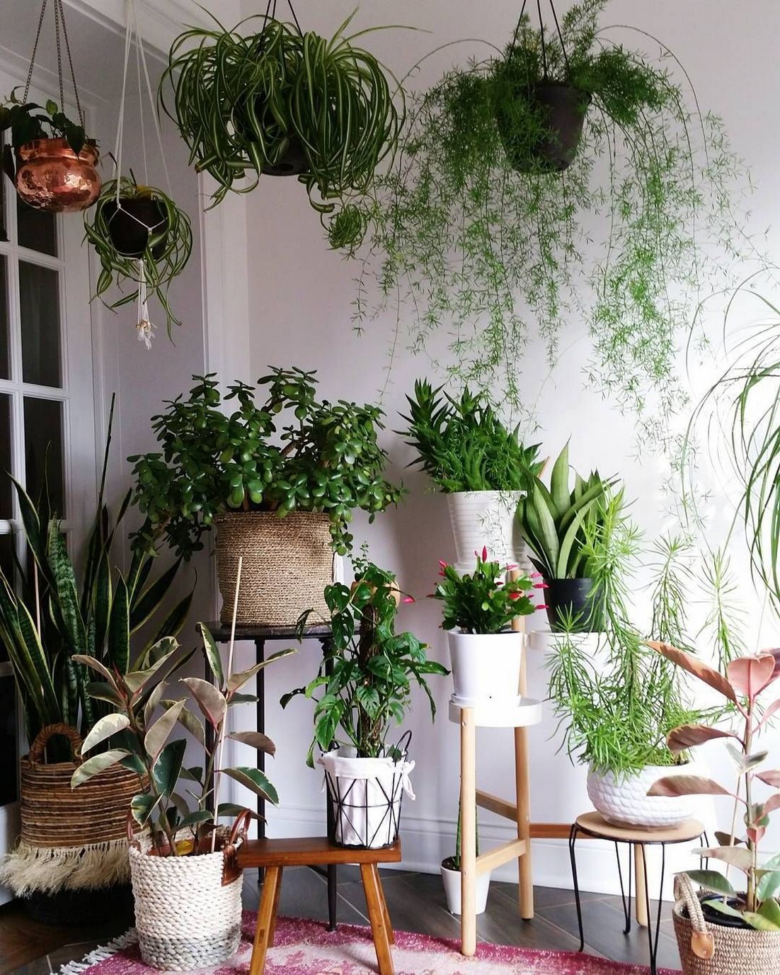 Jardin Septembre Charmant 24 Ideas How to Create Your Own Indoors Jungle