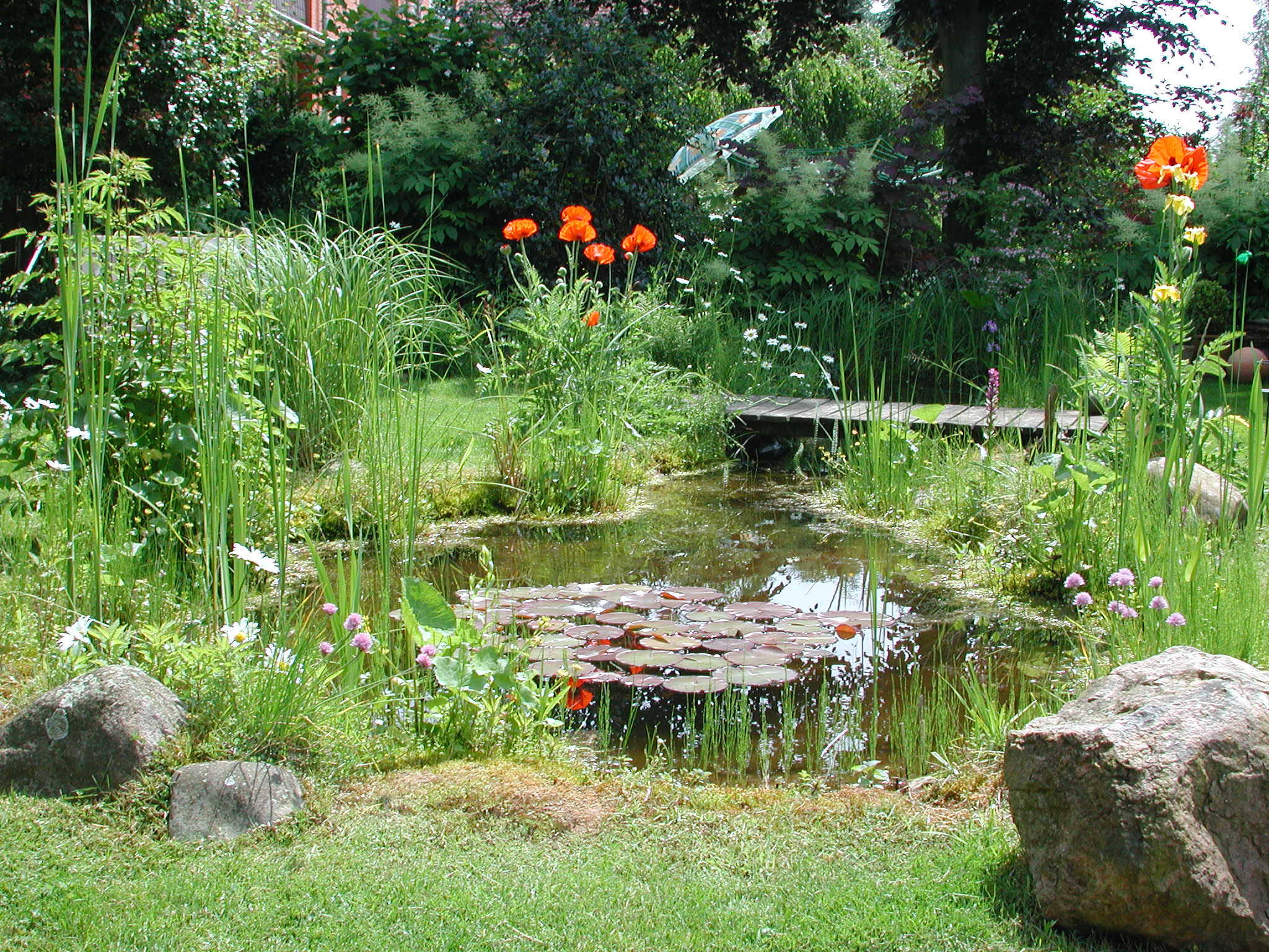 Jardin Septembre Charmant Fichier Gartenteich — Wikipédia