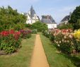 Jardin Septembre Frais Thabor Park – Rennes – tourist attractions Tropter