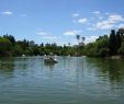 Jardin Septembre Luxe Parc Da Reden§£o — Wikipédia