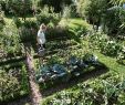 Jardin Septembre Nouveau 154 Best Potager Images In 2019