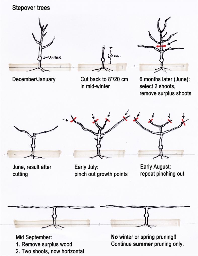 Jardin Service Génial Configurations Prehensive Suppliers Including