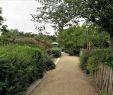 Jardin Service Inspirant Jardin Villemin Paris 2020 All You Need to Know before