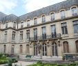 Jardin Service Luxe Musee Carnavalet Travel Guidebook –must Visit attractions In