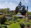 Jardin soleil Inspirant Jardin Botanique De L Universite De Strasbourg 2020 All