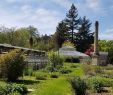 Jardin soleil Inspirant Jardin Botanique De L Universite De Strasbourg 2020 All