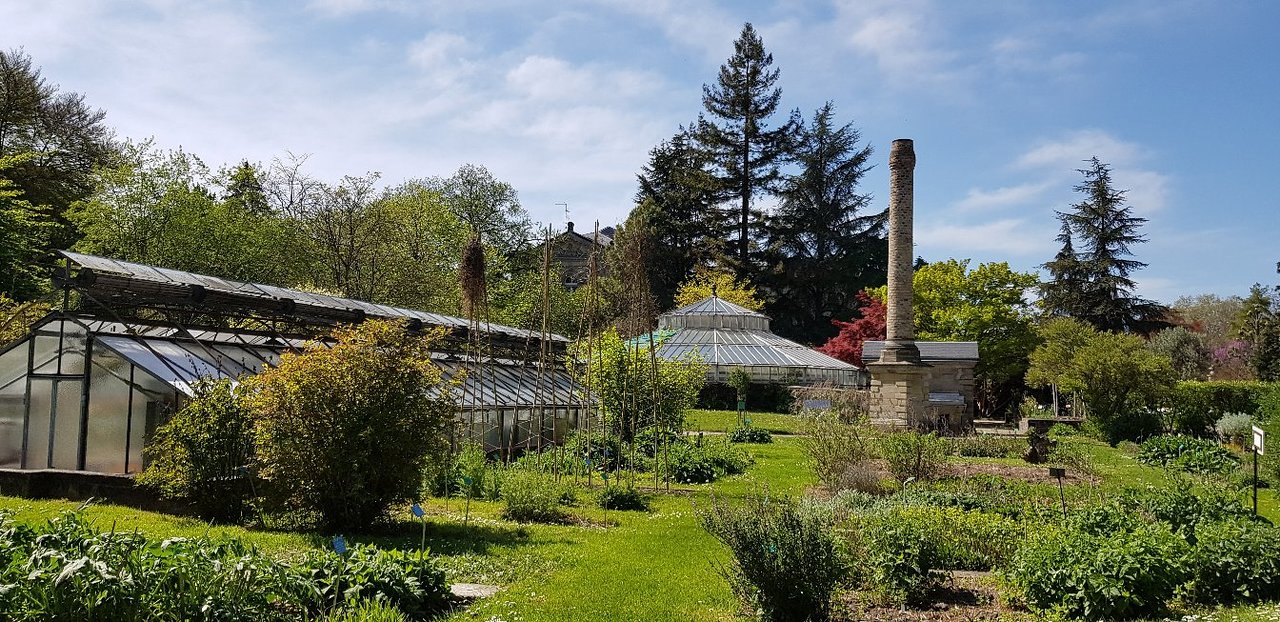 Jardin soleil Inspirant Jardin Botanique De L Universite De Strasbourg 2020 All