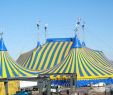 Jardin soleil Unique Cirque Du soleil – Wolna Encyklopedia