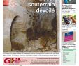 Jardin solidaire Élégant 2019 10 24 by Ghi & Lausanne Cités issuu