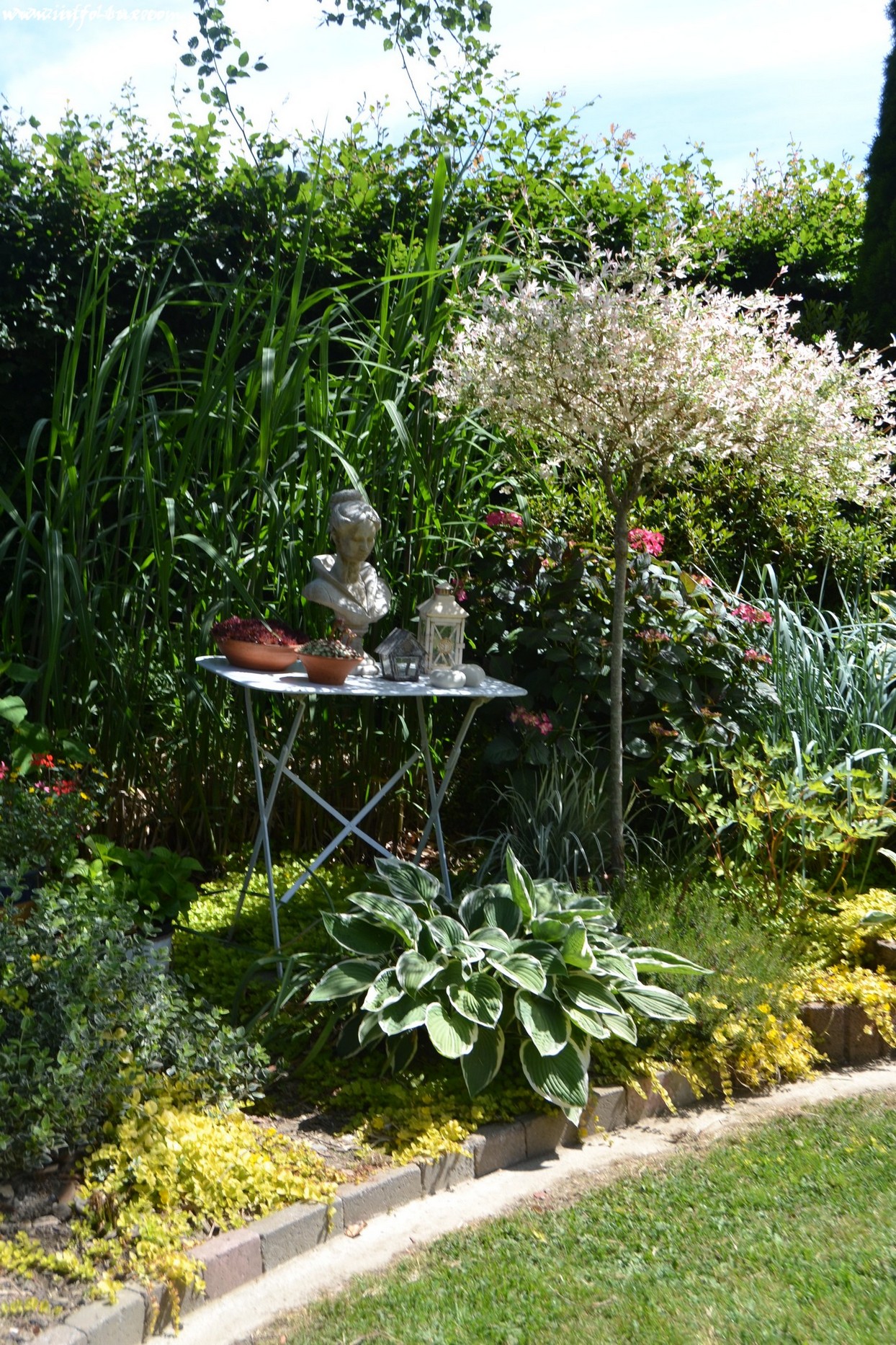 Jardin solidaire Génial Jardin Ouvert   Verlaine Neufchateau