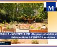 Jardin Thérapeutique Ehpad Beau Montpellier Herault Montpellier Un Parc Réhabilité Et
