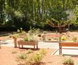Jardin Thérapeutique Ehpad Élégant Un Parc Réhabilité Et Un Jardin Thérapeutique à L Ehpad