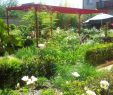 Jardin Thérapeutique Ehpad Génial 2010 – Jardin Sensoriel En Ehpad 92