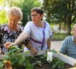 Jardin Thérapeutique Ehpad Nouveau A Eve Le Jardin De L’ehpad Est Le Meilleur Des