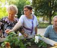 Jardin Thérapeutique Ehpad Nouveau A Eve Le Jardin De L’ehpad Est Le Meilleur Des