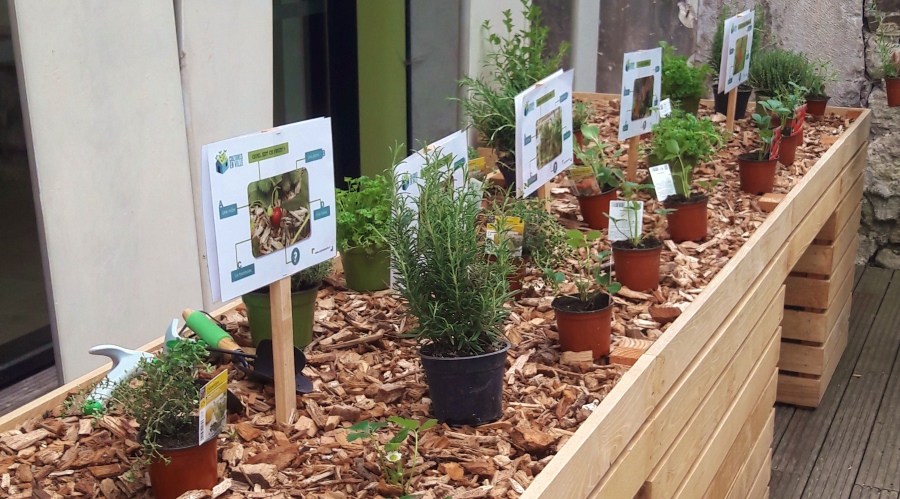 Jardin Thérapeutique Ehpad Nouveau Jardin Thérapeutique Au Centre Blanche Almage