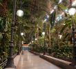 Jardin Tropical Beau atocha Station Greenhouse Garden In Madrid 23 Reviews and