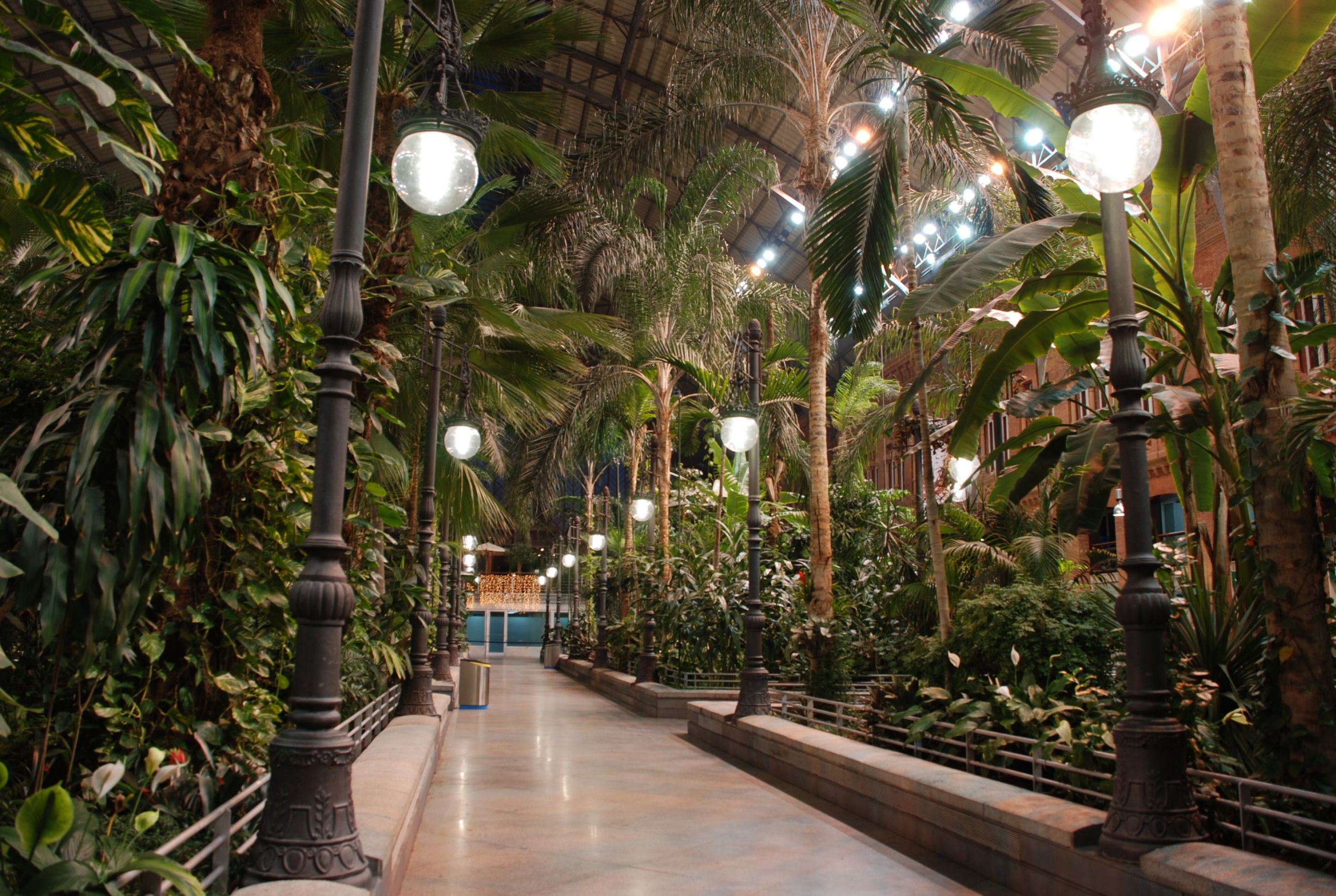 Jardin Tropical Beau atocha Station Greenhouse Garden In Madrid 23 Reviews and