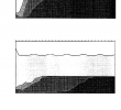 Jardin Tropical Beau Changes In the Seral Stage Position Of the Clallam River