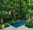 Jardin Tropical Élégant Swimming Pool Design Ideas