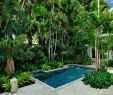 Jardin Tropical Élégant Swimming Pool Design Ideas