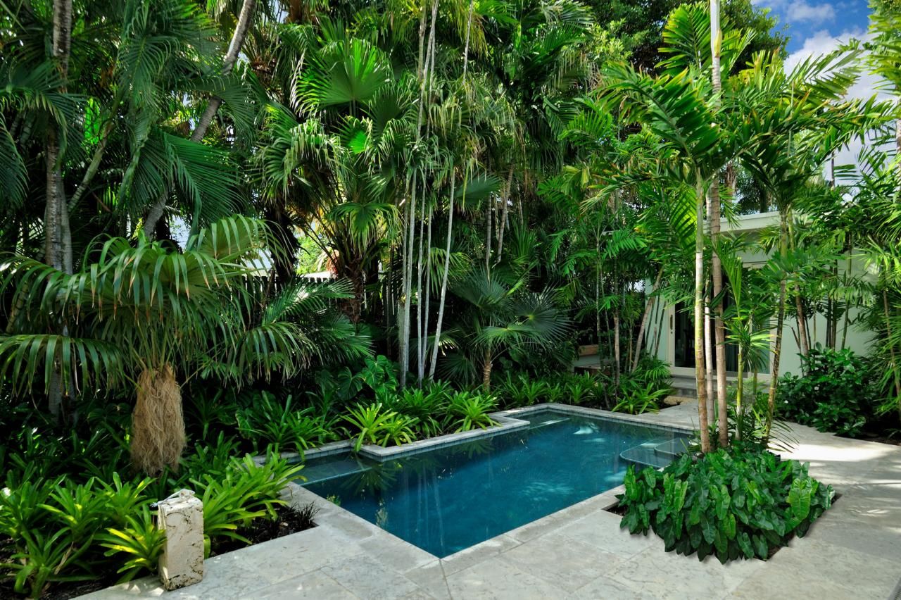 Jardin Tropical Élégant Swimming Pool Design Ideas