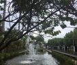 Jardin Tropical Frais Jardin De L Etat Saint Denis 2020 All You Need to Know