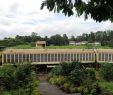 Jardin Tropical Inspirant Jawaharlal Nehru Tropical Botanic Garden and Research