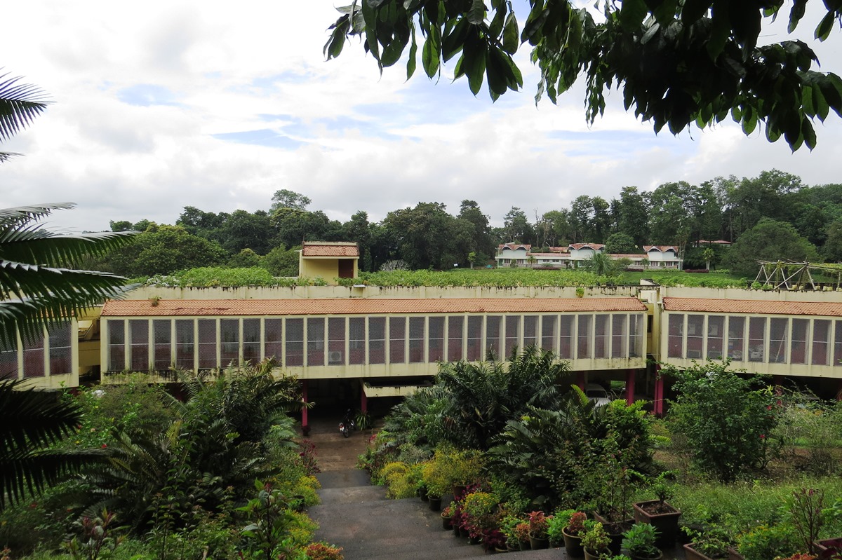 Jardin Tropical Inspirant Jawaharlal Nehru Tropical Botanic Garden and Research