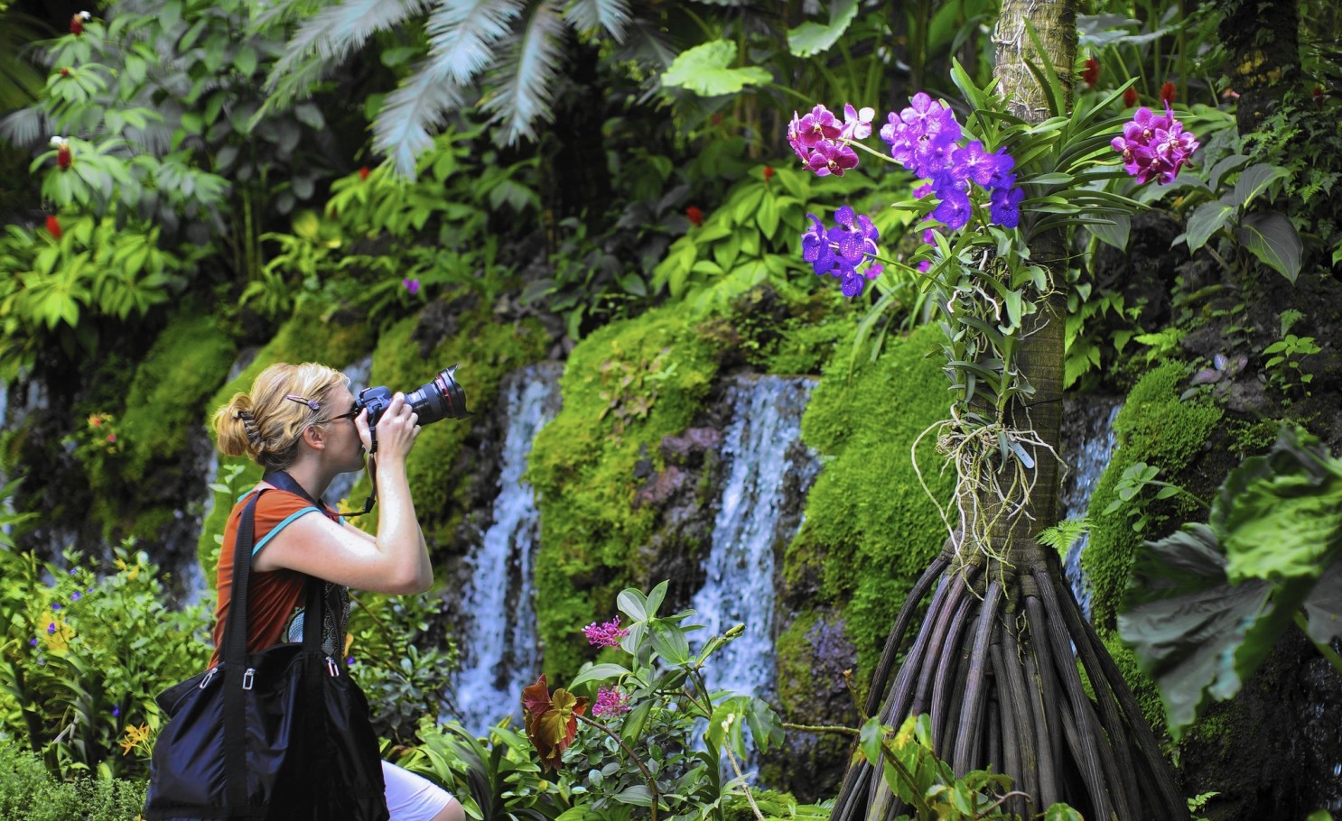 Jardin Tropical Inspirant Singapore Botanic Gardens Colorfully Connects People with