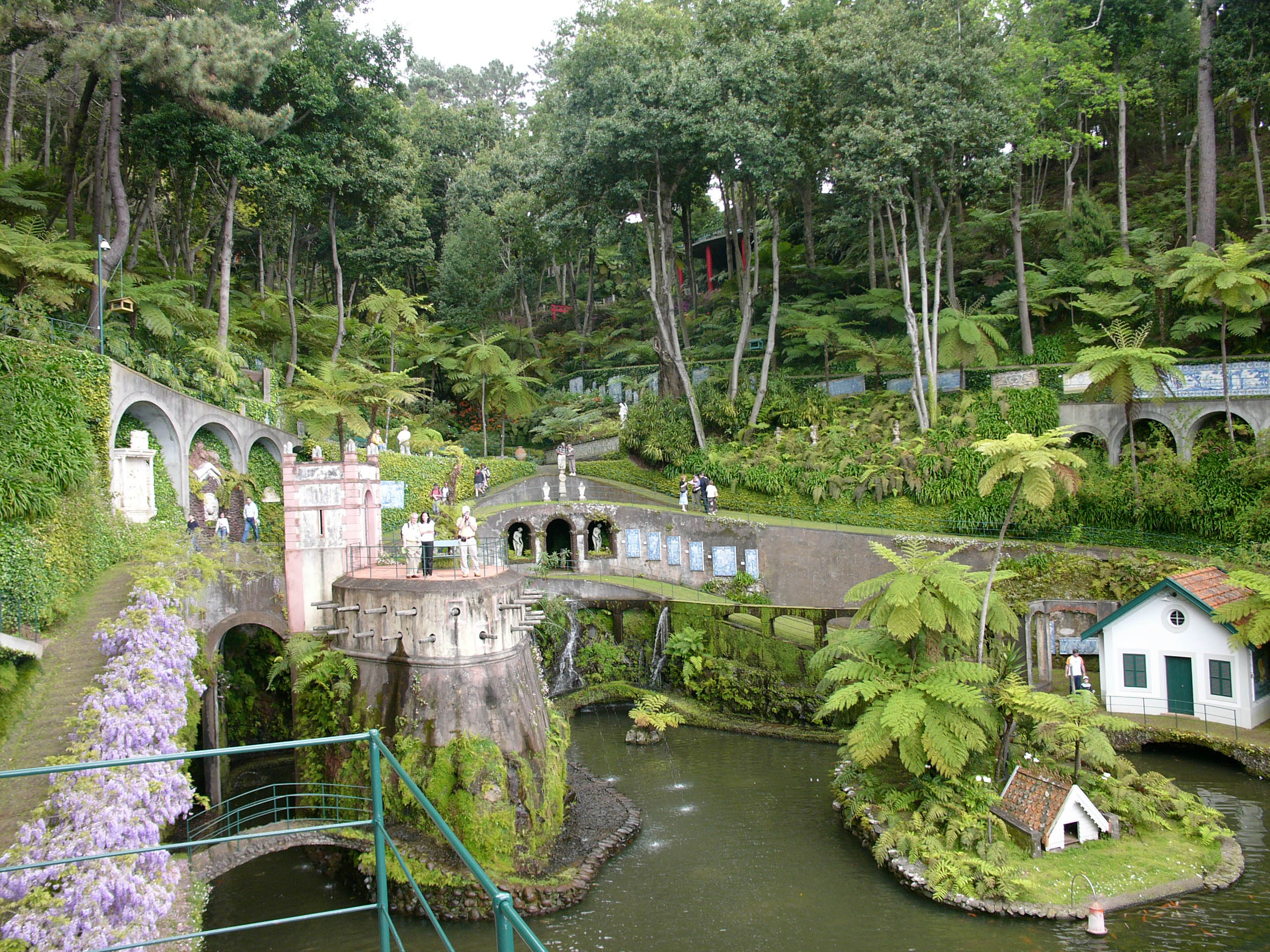 Tropical garden monte hg