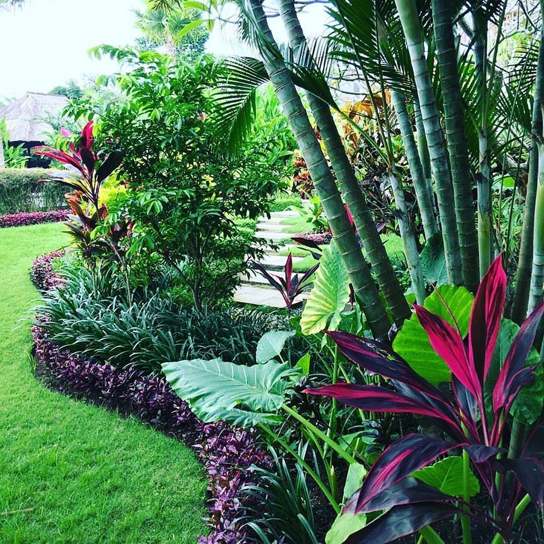 Jardin Tropical Luxe Tropical Garden Landscape Design Tropical Garden Landscape
