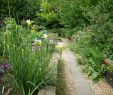 Jardin Tropical Vincennes Best Of 11 Best Parks and Gardens In Paris Tranquil Havens