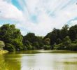 Jardin Tropical Vincennes Best Of 11 Best Parks and Gardens In Paris Tranquil Havens