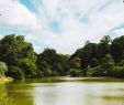 Jardin Tropical Vincennes Best Of 11 Best Parks and Gardens In Paris Tranquil Havens