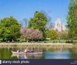 Jardin Tropical Vincennes Best Of France Paris Bois De Vincennes Daumesnil Lake In Spring