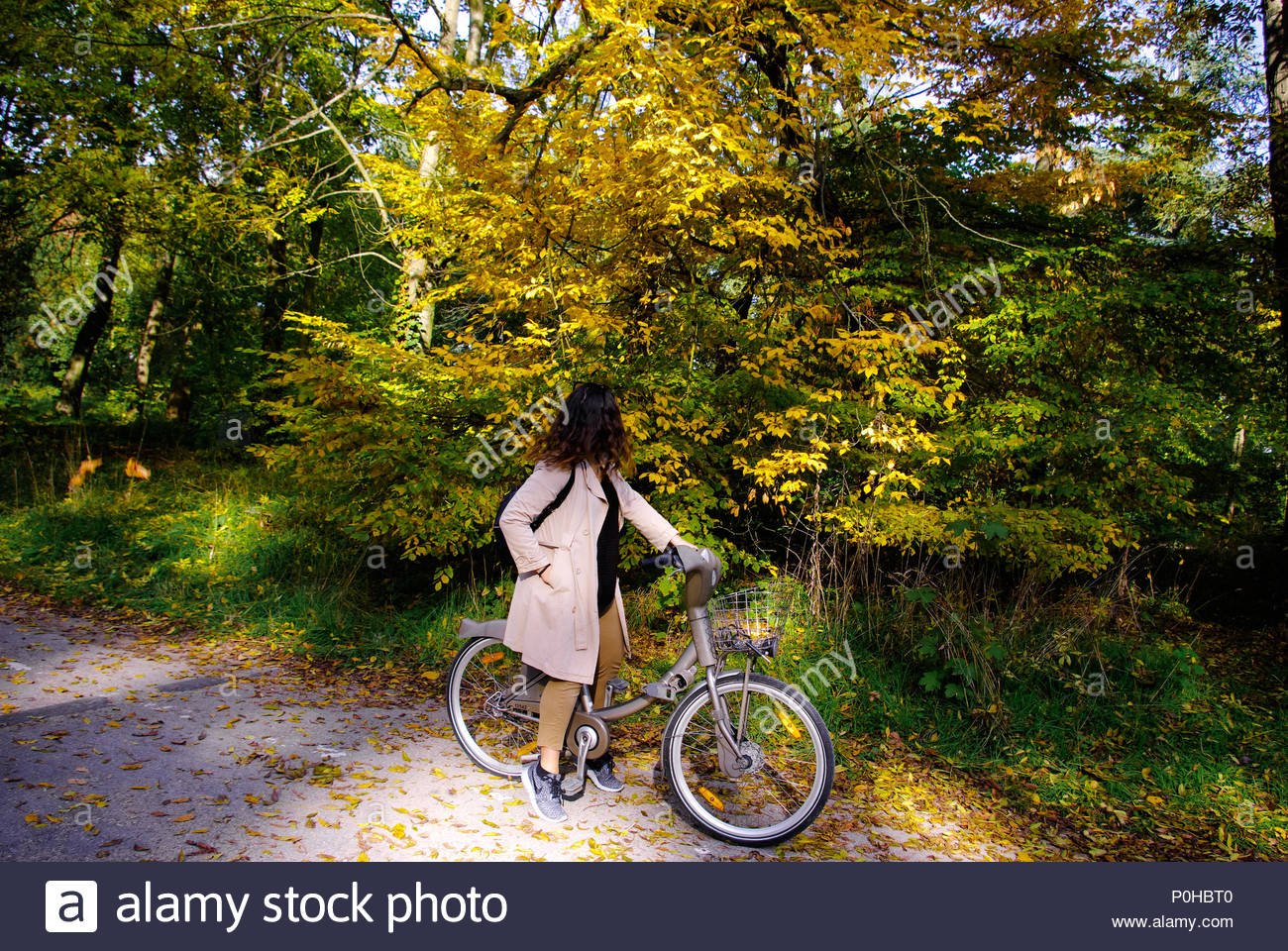 bicycle ride at park de vincennes paris france P0HBT0