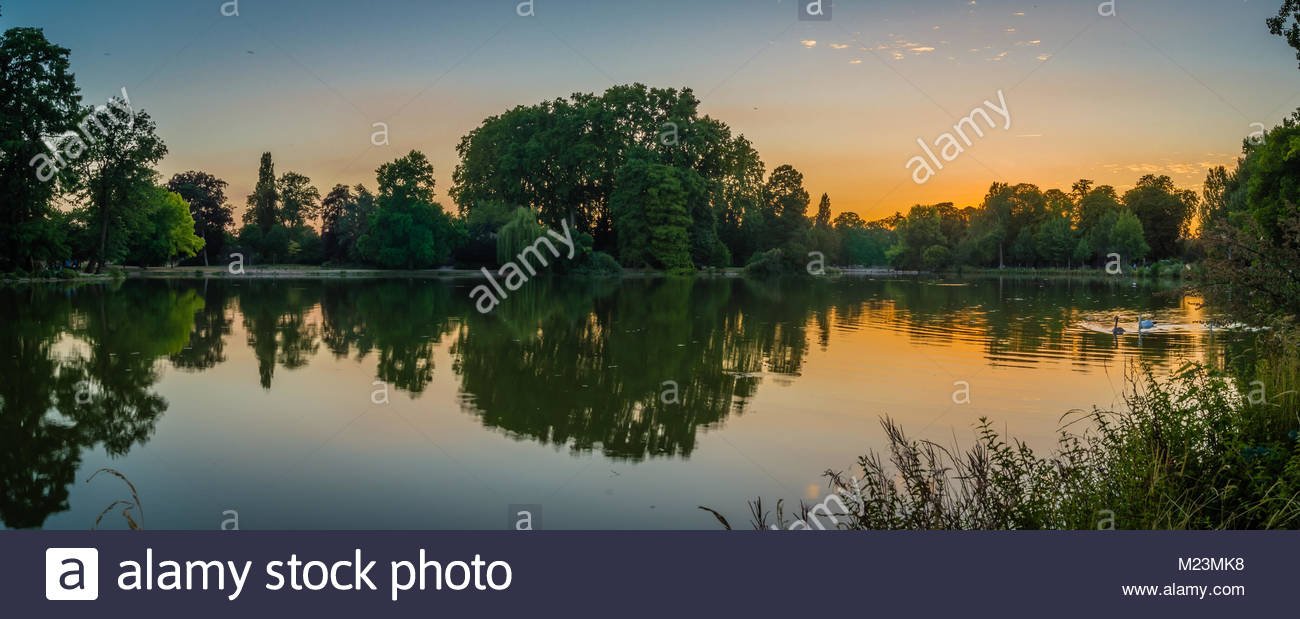 vincennes park and lake with swans at dusk M23MK8