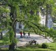 Jardin Tropical Vincennes Frais 11 Best Parks and Gardens In Paris Tranquil Havens