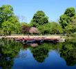 Jardin Tropical Vincennes Frais A Plete Guide to the Bois De Vincennes Park Near Paris