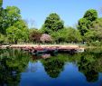 Jardin Tropical Vincennes Frais A Plete Guide to the Bois De Vincennes Park Near Paris