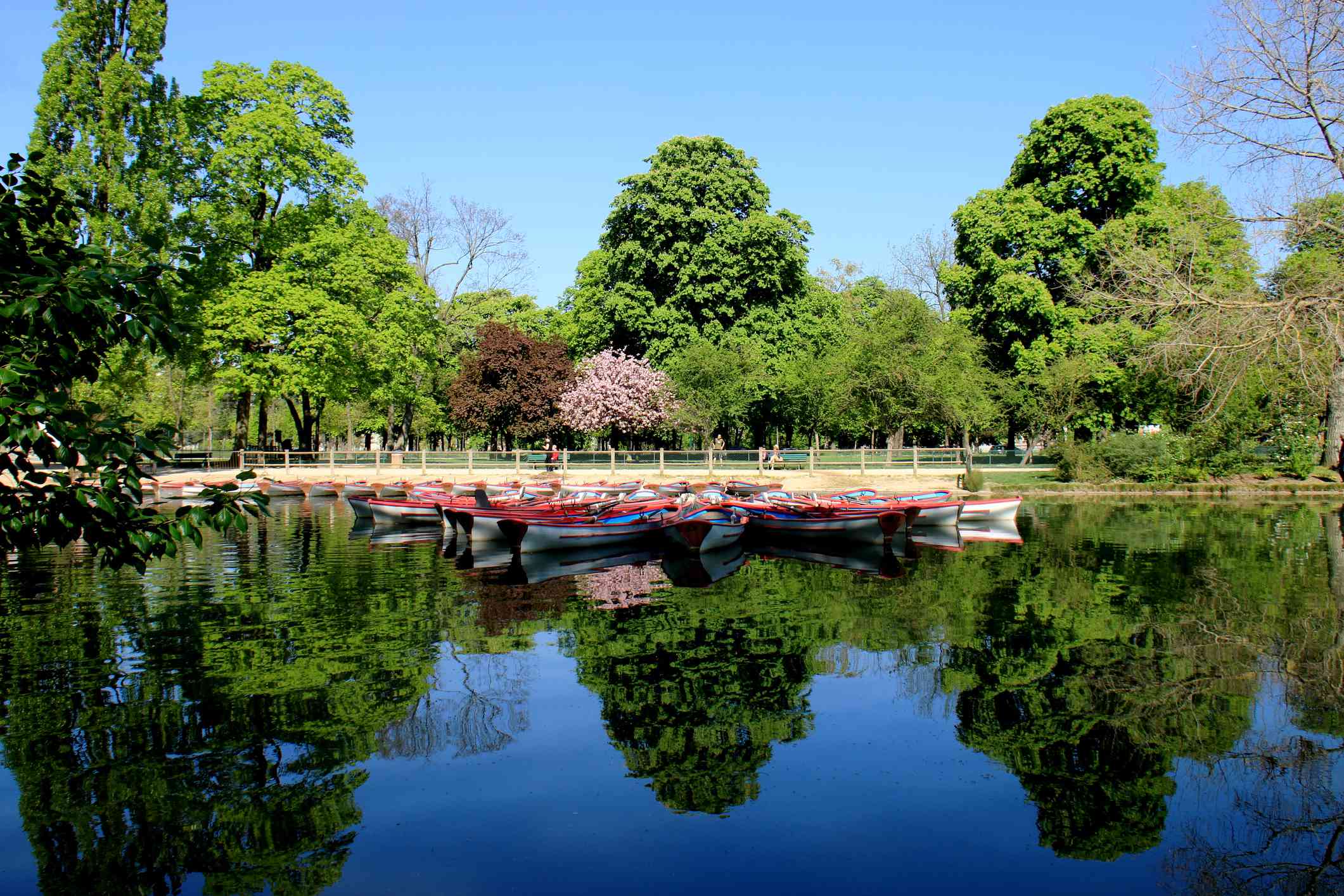 Jardin Tropical Vincennes Frais A Plete Guide to the Bois De Vincennes Park Near Paris