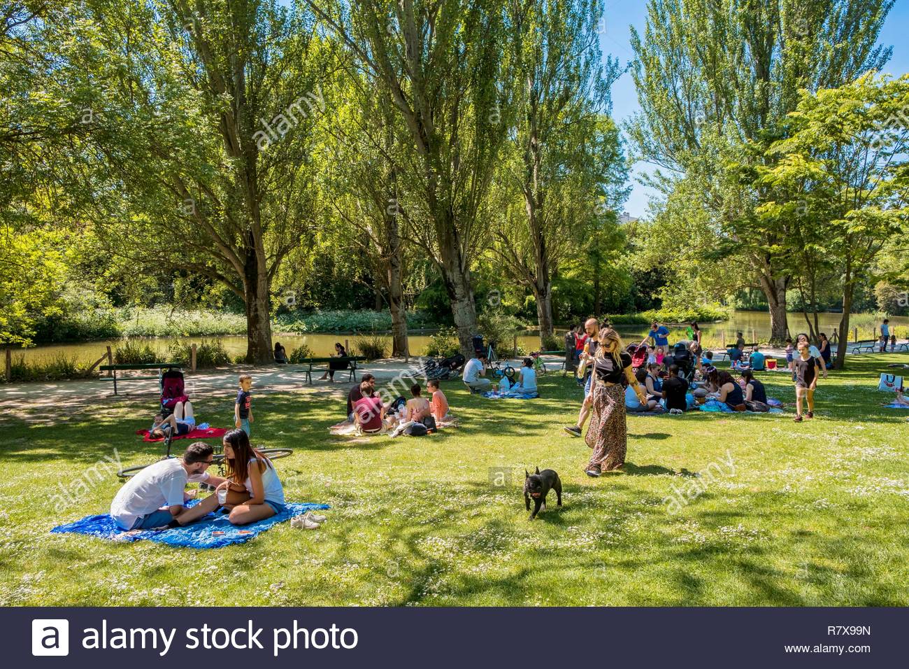 france paris the bois de vincennes in front of lake saint mande R7X99N