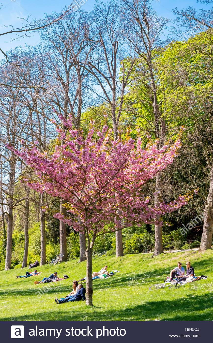 france paris the bois de vincennes in front of lake saint mande T8R5CJ