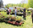 Jardin Val De Saone Beau Edition Chalon Sur Sa´ne