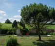 Jardin Val De Saone Charmant Le Paradis De Marie Hotel Reviews France Saint Amour