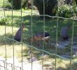 Jardin Zoologique Lisbonne Best Of Europaradise Montemor O Velho 2020 All You Need to Know