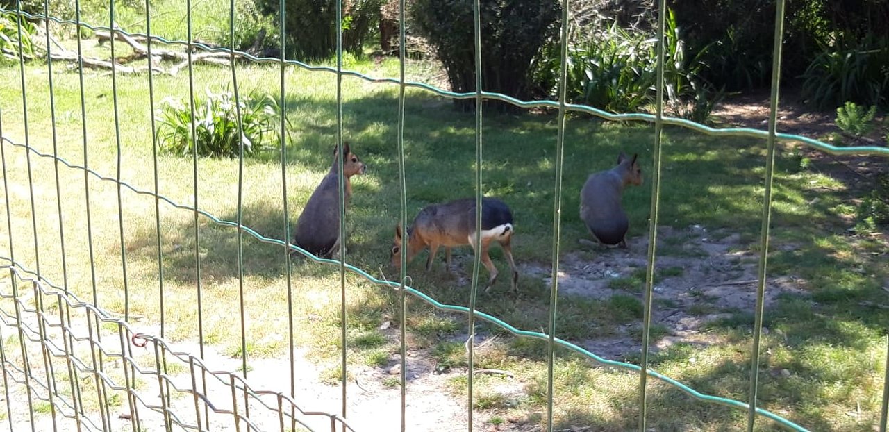 Jardin Zoologique Lisbonne Best Of Europaradise Montemor O Velho 2020 All You Need to Know