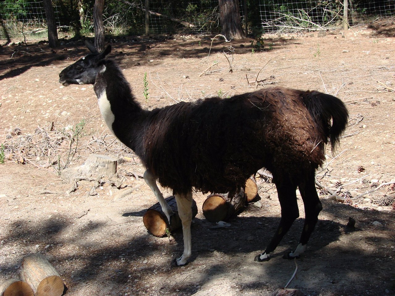 europaradise park zoologico